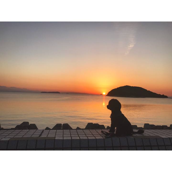 Aa1e7d05 68ec 4ed2 998d d3fb3d33ae95 1540544547078