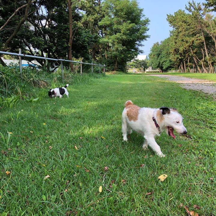 Aa1e98c7 f753 4e67 96f9 378d2e62ce82 1564528259547