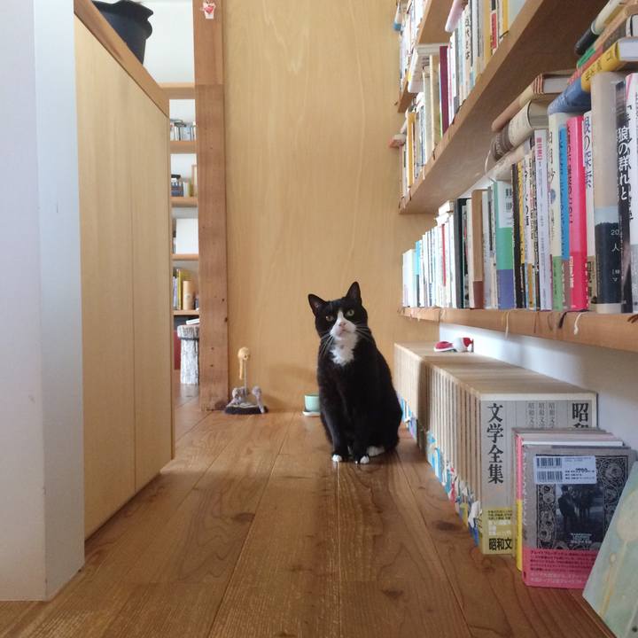 Aa1ea156 b738 465d a5a8 37b288ea5726 1529814710369