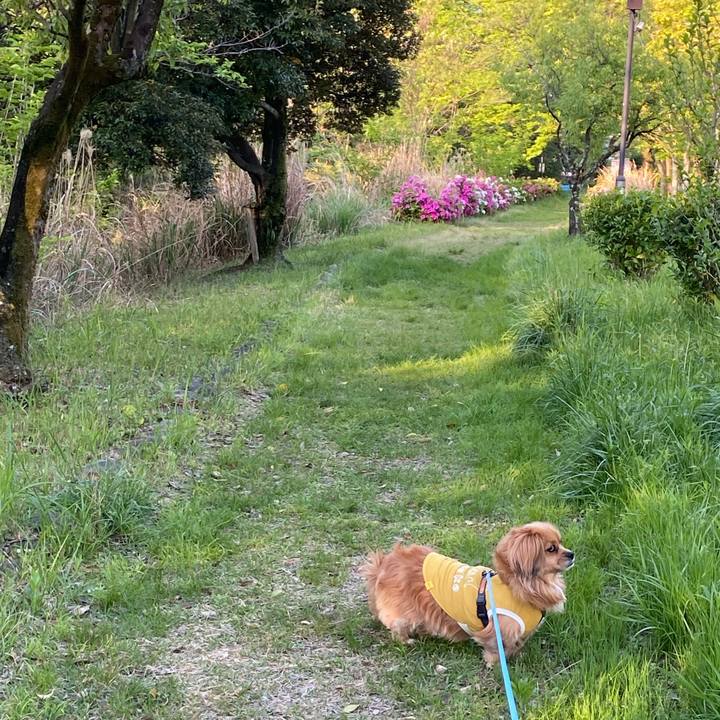 Aa1ec69f 7877 4b91 a273 cdd4b240ba96 1619126570494