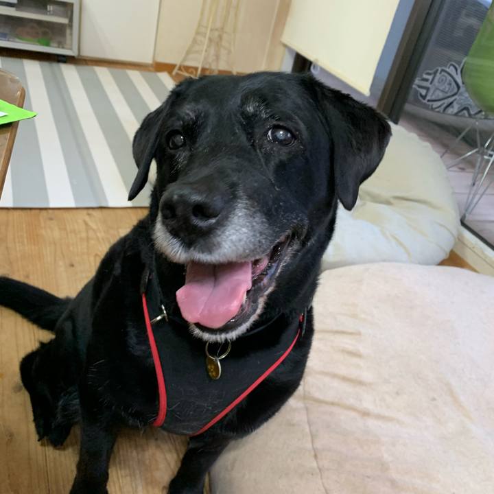 Aa1ec98f 7d44 4a4e b2c8 28496d3bd340 1584395634331