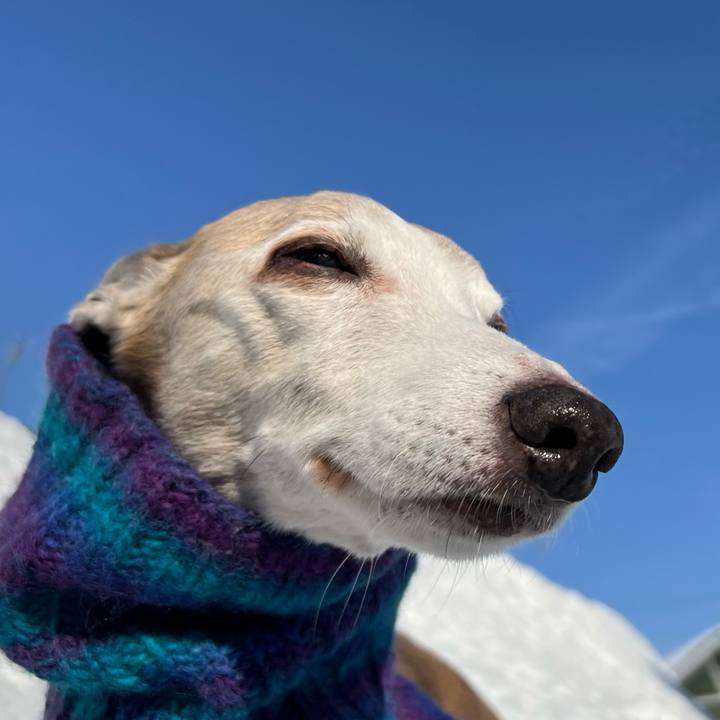 Aa1ed248 f4ab 4e8e b94b 572c8e1d44b9 1770279276110