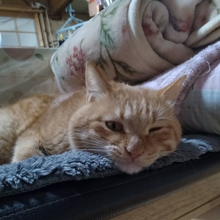 Aa1ef0aa 0793 4f1f 8e7f 48c771cec370 1670325666524