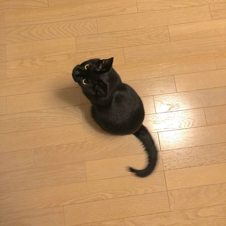 Aa1efa16 48da 4e2a 8b4b bebb7f976d61 1513598229254