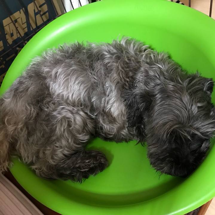 Aa1efeb1 7d8b 44ae 9787 56b3017ec6b9 1538834781301