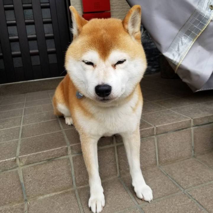 Aa1f101c 7244 4c0c a316 d526ae4691e4 1572996475025