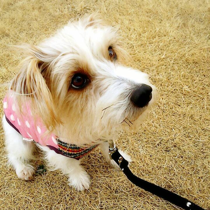 Aa1f9034 e035 4bde 9ffb 660ce0af50bc 1516519890536