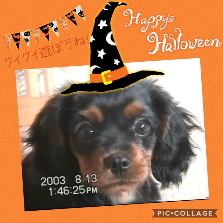 Aa1f971e b926 4211 a9e2 4d1df04881b7 1540945523659