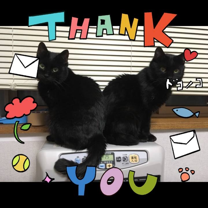 Aa1f9f23 47c0 4623 92f1 f37a0ba0c3ee 1715080899294