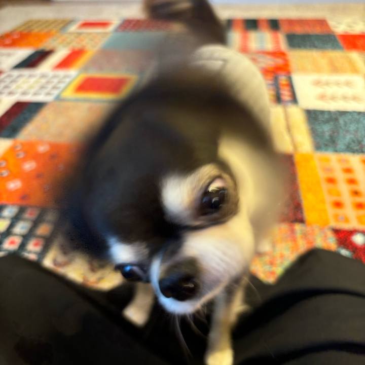 Aa1fb41e 08d8 4d1f a205 46723cbd2514 1721490921643