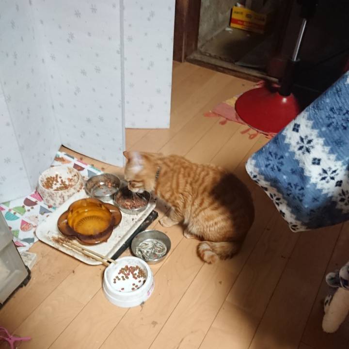 Aa1fccb5 0892 4fda 9aba cb8715ac6d17 1645911279339