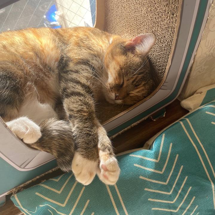 Aa1fce68 9937 4ac8 a36f 5eac5f8292a6 1696730028649