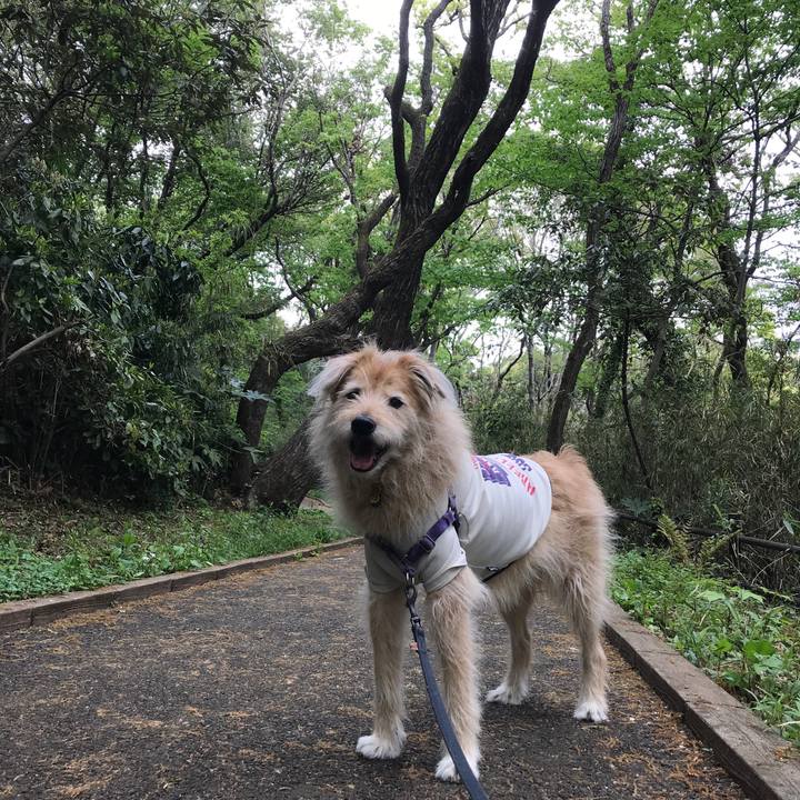 Aa1fe72b 0df2 4d4d 97dd b97842275703 1555841638846