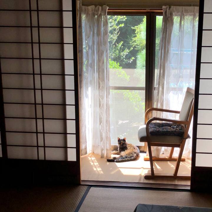 Aa1fec9b 1985 42c8 882f ce5a0a61d39a 1730599898087