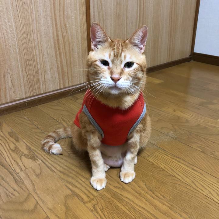 Aa20380e 820a 458c 8701 1253dc84ad31 1662042665903