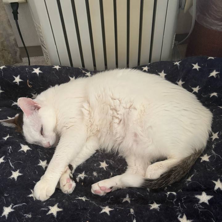 Aa2042b6 b4a9 41d4 a302 a714f4f4e644 1772247901740