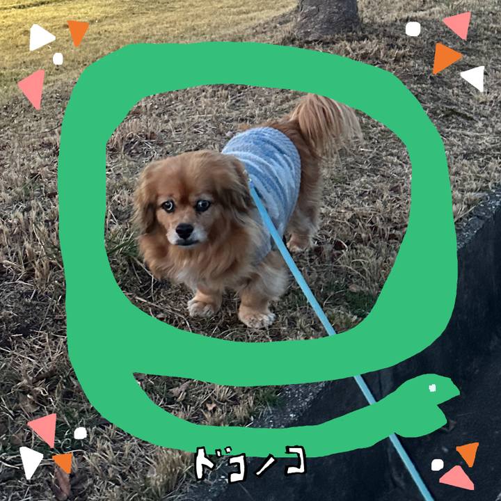 Aa205d30 87b1 4dbb 8146 e356893b28d2 1741296389085