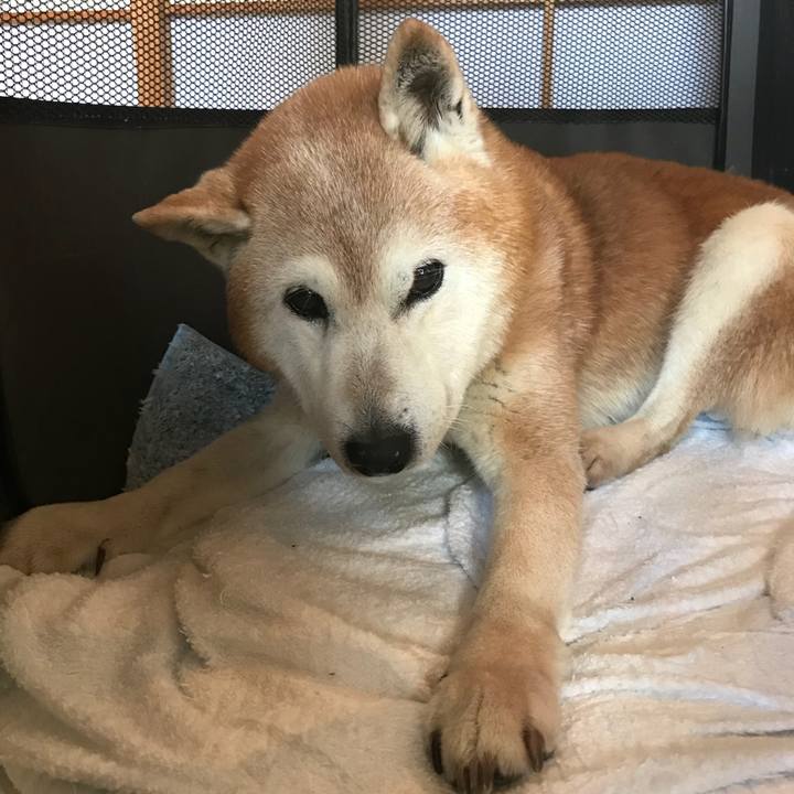 Aa205dfb 6aad 408f be25 9210ad6ad5ff 1524462740570