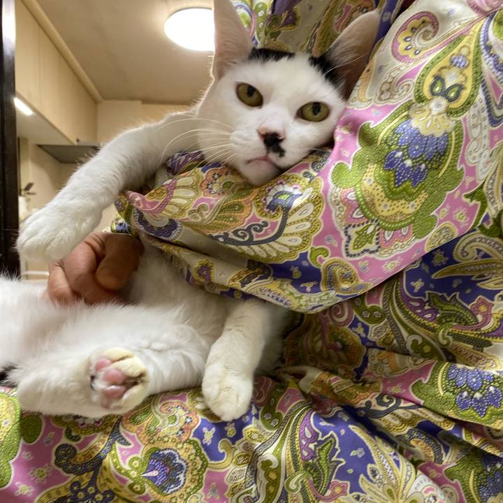 Aa206e0d c89a 47c0 a83a 8b94277dbf29 1678364001013