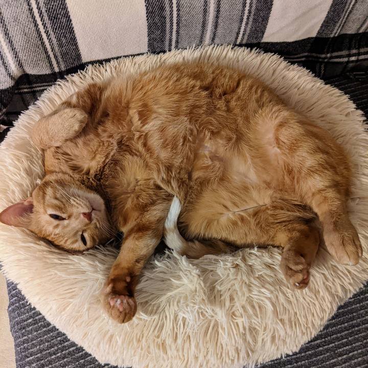 Aa207e1f b163 42e1 875f 68a1ffd9e1f2 1661430872791