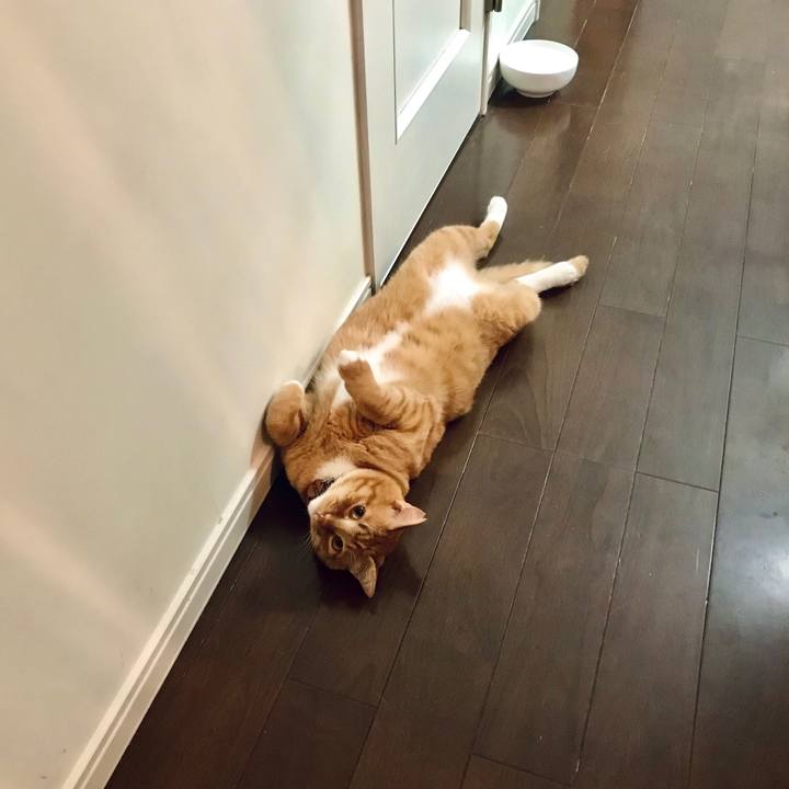 Aa207ed2 ee73 4106 a87c b24e1ed5fab7 1628161831111