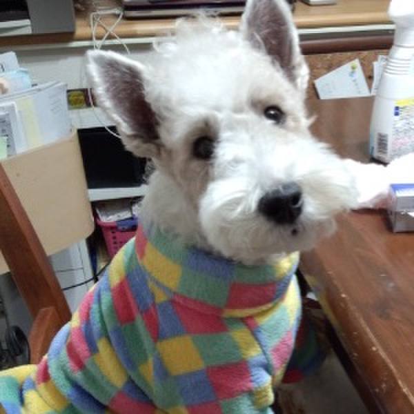 Aa2082d2 f498 4e40 a9f4 b4ca713d7949 1609575211960