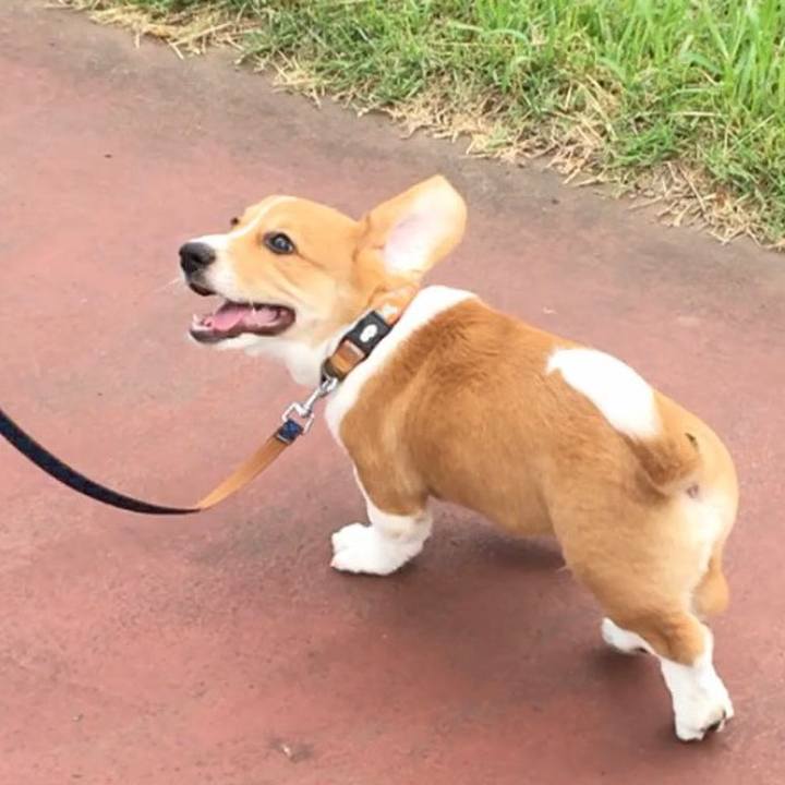 Aa208e4a ff3d 47aa b5fa a60173742e78 1591841482891