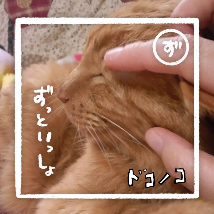 Aa210e6d 3ec0 48d9 a2d5 978e049b32cb 1685962244802