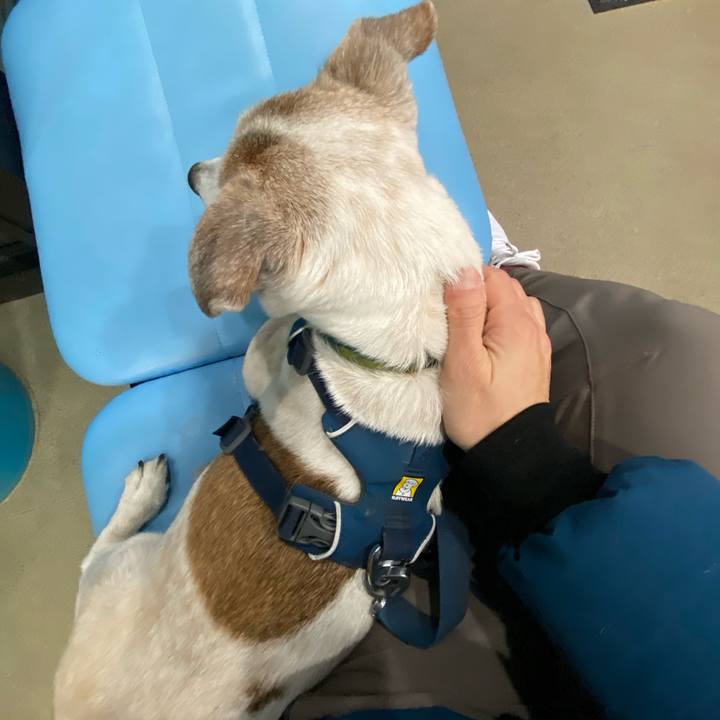 Aa210ec8 cd67 4e66 a3af aa33f1ab71ee 1673533051186