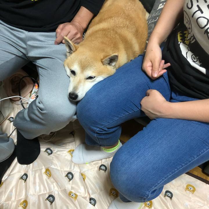 Aa213f57 c1c2 49cc b11c 9f2a09d8787f 1589090734148