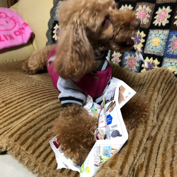 Aa215c22 dc68 49db bd5a 0c1daec4673a 1585037387021