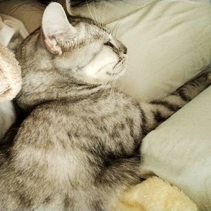 Aa21aaa2 8c00 4969 85fb a06a76cf961f 1600733990858