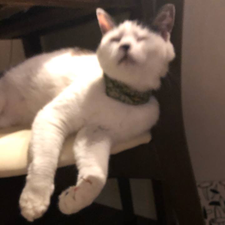 Aa21c5ff e5d9 4f03 94b5 3018d692e4e5 1562593762088