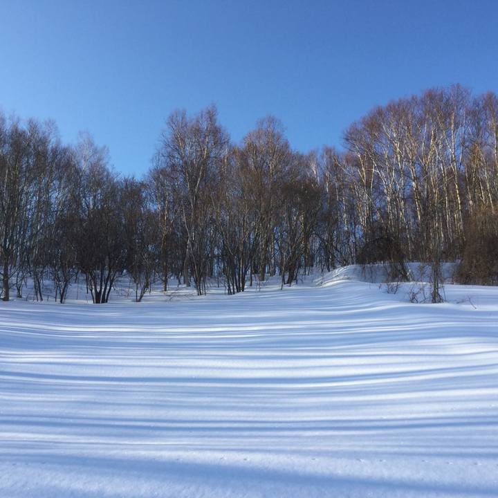 Aa21cff8 732f 4132 b96f 14cdf9e73067 1549791488586