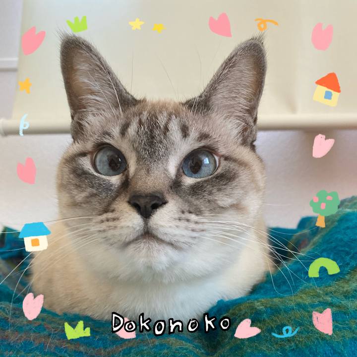 Aa220d0f 677d 4dd3 a5b9 49850d56e23f 1741088625749