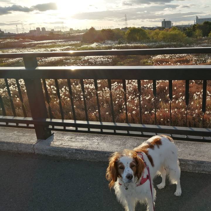 Aa225f81 94c4 4dfe a947 27d60d997cc1 1606564413112