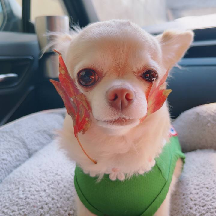 Aa22683a cc09 402e 9e02 c81cab5e5f43 1758941378933