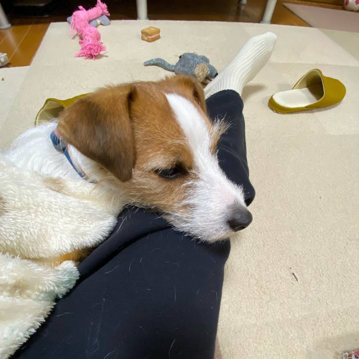 Aa22a21a 863f 405b 8ea8 ada763e6aa58 1673700352093