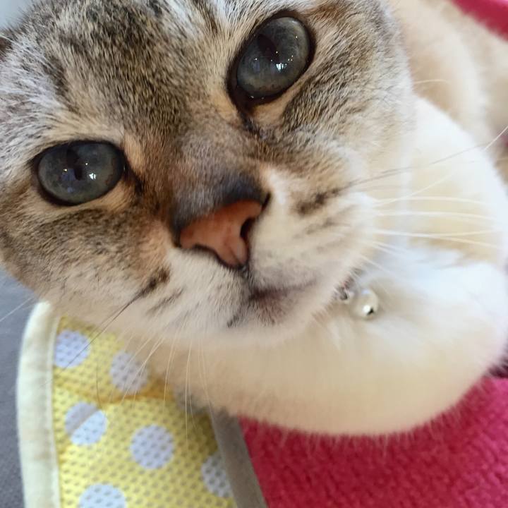 Aa22ab04 e58d 4702 9475 664dc0299792 1527588214758