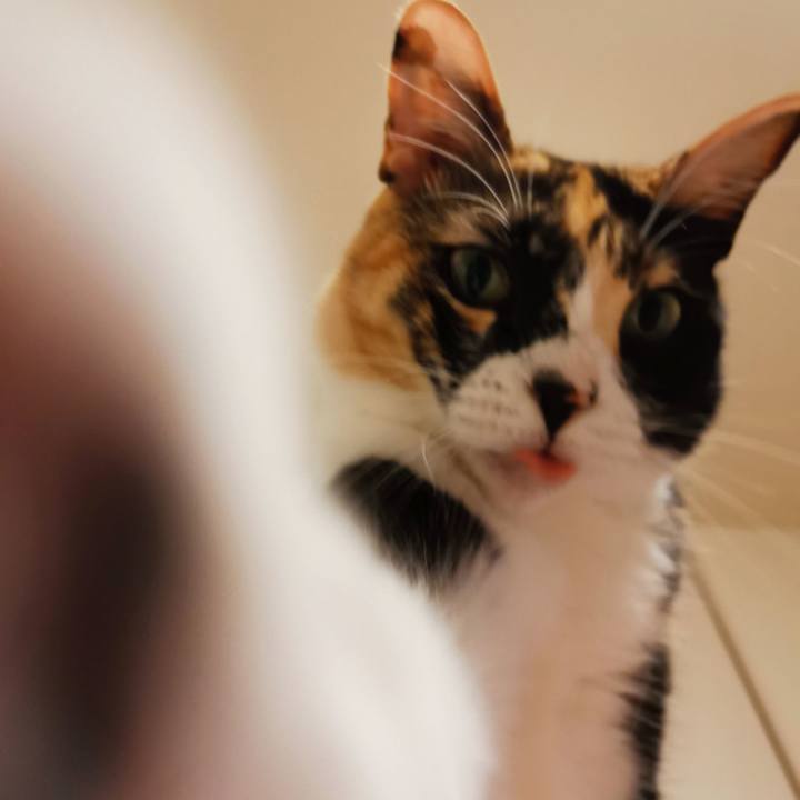 Aa22beb5 3a91 4ded 823a f24e578f21dc 1655182836358