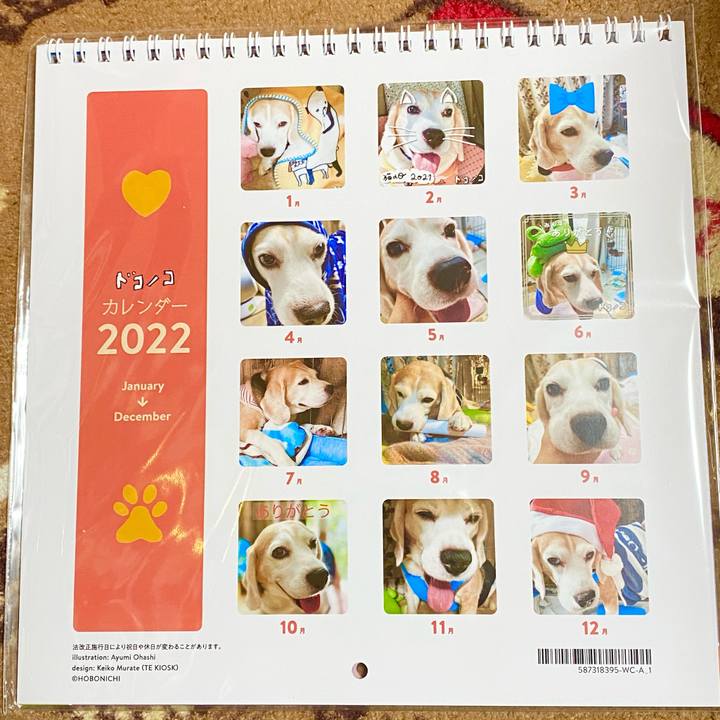 Aa22e91d aaa8 4ae7 a517 066809307215 1637207245632