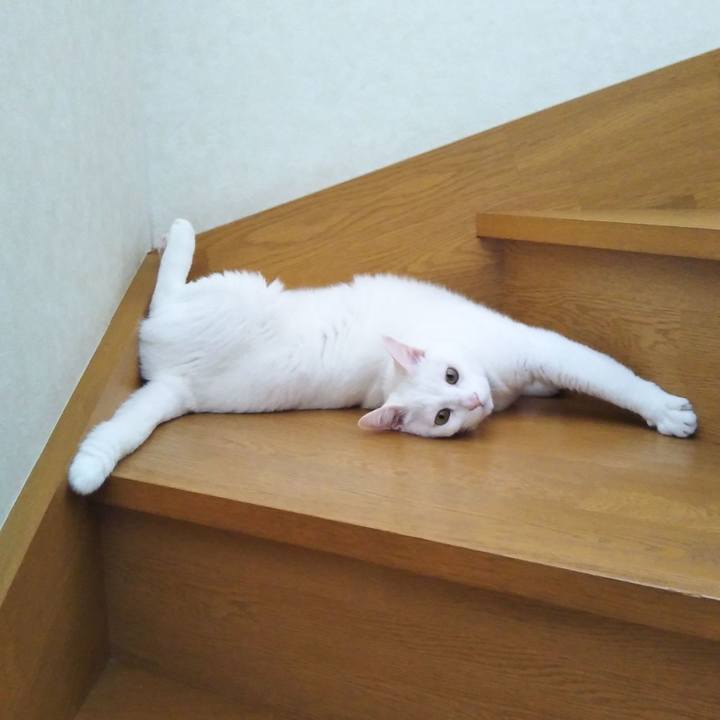 Aa230787 4cb8 43fb aa47 6f1d3f0c97c8 1632204104756