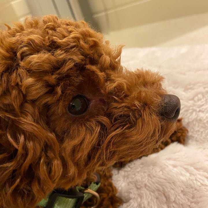 Aa231390 bdd9 4fad 844c 2de8be16a2ee 1588822200960