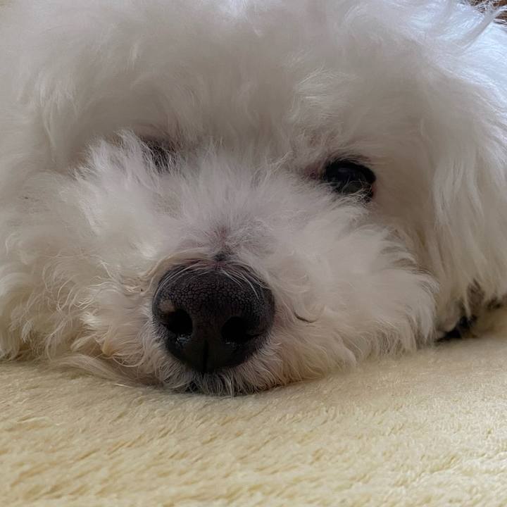 Aa23167b 981e 40ed 9498 4f119c83e17c 1650869392262