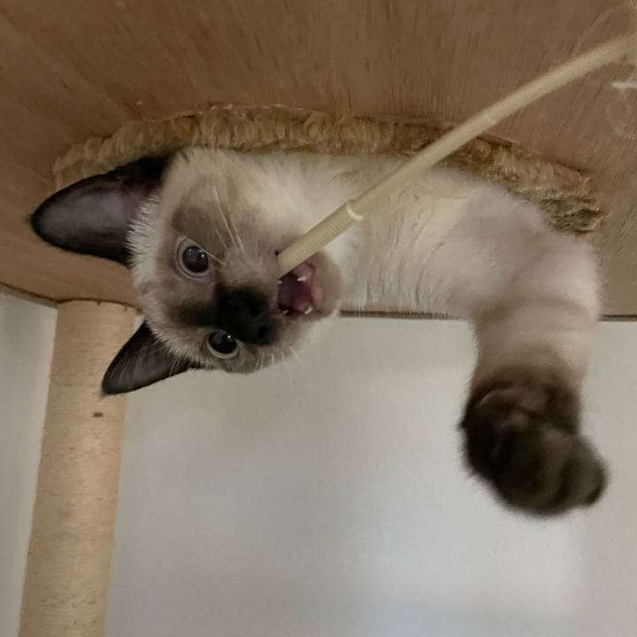 Aa233e76 38c2 4435 b74e 3b893ec0f592 1691524721775