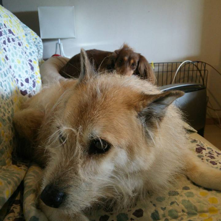 Aa233e93 befb 431b 9b26 af94c0d96ef9 1523672671469