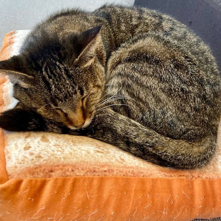 Aa234435 98cf 4aba 8302 a6e333e29f87 1644020941304