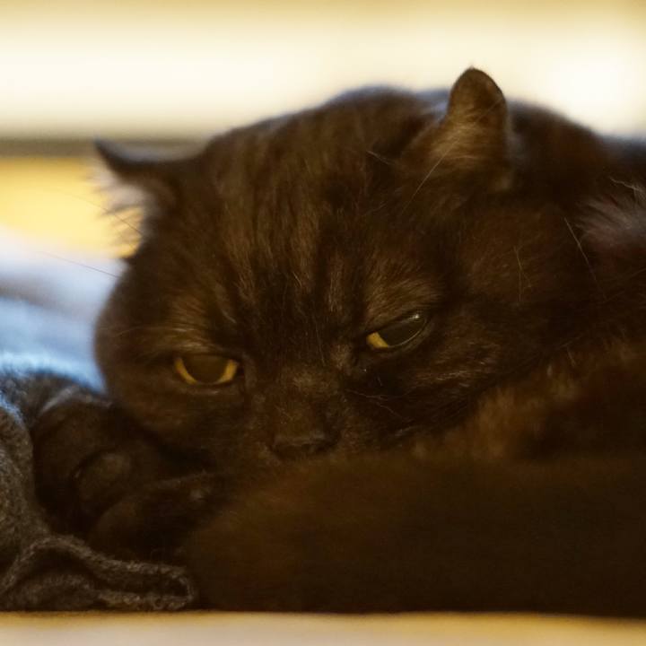 Aa235d6d 26c2 4888 9d87 9261d2688e92 1620407005698