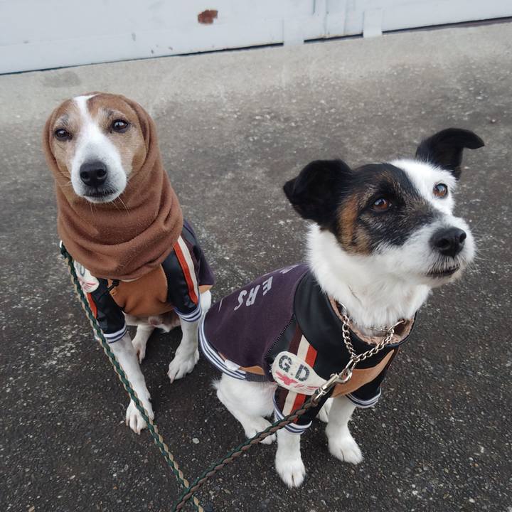 Aa242656 57d6 4587 baf9 5c07a7dcc8d5 1765579956948