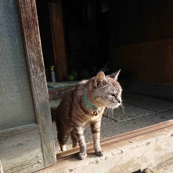 Aa244ca0 50a3 4e66 845d 97b940a1c845 1567907604535